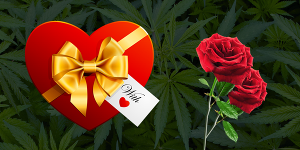 A Budding Romance: Cannabis Lovers Embrace Valentine’s Day