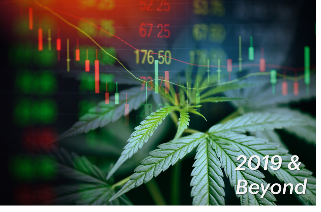 2019 Cannabis Sales